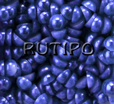 Half beads SteelBlue 4mm, 1gr (55-60pcs)