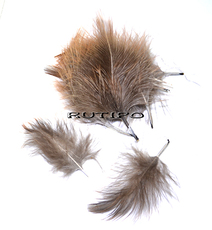 Feather, 7-9cm, pcs