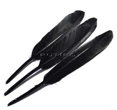 Feather black, 10-15cm piece