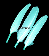 Перо Aquamarine, 10-15см шт