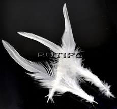 Rooster feather white, 9-16cm, pcs