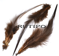 Rooster feather brown, 9-15cm, pcs
