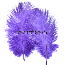 Ostrich feather purple 15-20cm, pcs