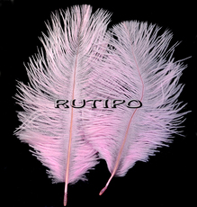 Ostrich Feather LightPink 15-20cm, piece