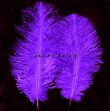 Перо Страуса Purple 15-20см, шт