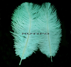 Перо Страуса Mint 15-20см, шт