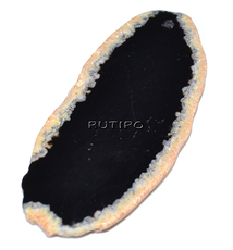 Срез Агата, 68*33*5мм, шт