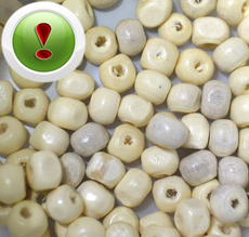 Wooden bead 6mm, pcs
